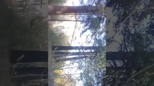 Я люблю ходить пешком