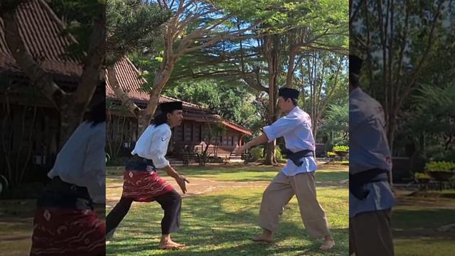 Pukulan Patikaman Silat Kuntau Borneo Indonesia