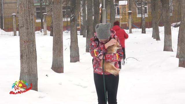 Социальный ролик смотреть онлайн