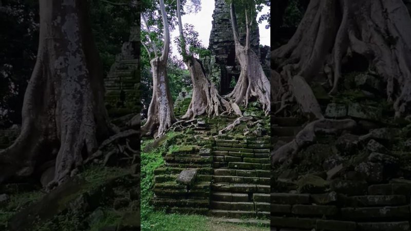 Hidden Angkor temple #cambodia