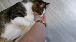 новый костюм _ WB возврат товара