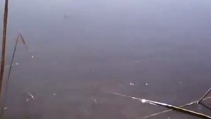 Рыбалка. ст. Старощербиновская. Подстанция.