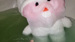 #lalafanfan распаковка посылки для утки #лалафанфан утя Лили делает маску duck