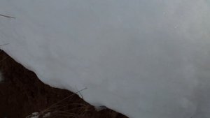 Болотоход тингер не едет в снег.