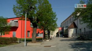 Frühling in Wiener Neudorf 2020