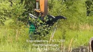 Корчевание на экскаваторе корчевателем ГЗП-1250 Леспромресурс