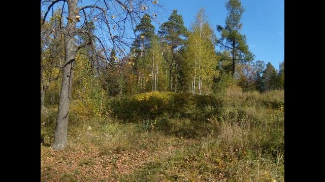 Варган. Гипноз, медитация (С) 2018 Леня Пеший смотреть онлайн