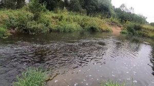 Изучение новой речки или Мормышинг на блесну