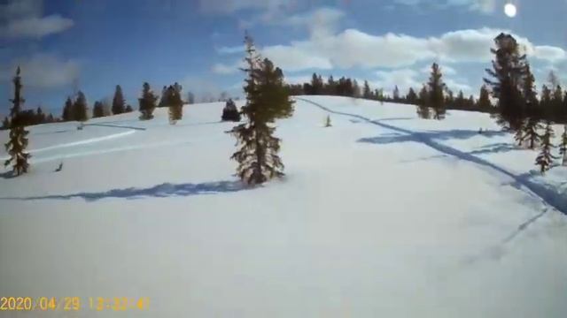 Длинный буран по лесу смотреть онлайн