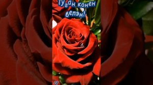 Туган конен белэн! ???