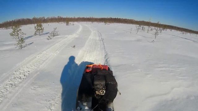 Покатуха на собаке3 смотреть онлайн