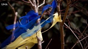 Степан Гіга - Яворина