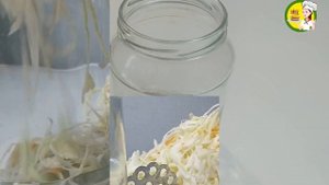 КВАШЕНАЯ капуста РЕЦЕПТ КЛАССИЧЕСКИЙ на зиму в банке. ВСЕГДА ХРУСТНО и ВКУСНО!!!