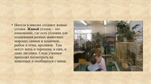 урок 41 Уход за животными в живом уголке природоведение 6 кл