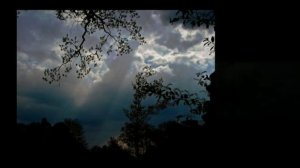 А. Розенбаум - Ау