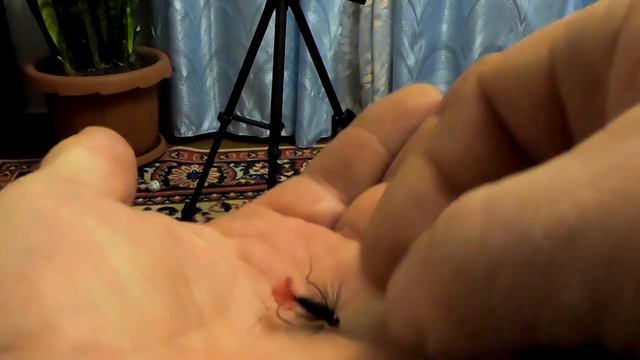 #Карелия#РыбалкасГидом#Посылка#Видеообзор Посылка от подписчика. Ваше мнение. смотреть онлайн