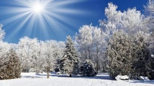 Здравствуй гостья ,ЗИМА !