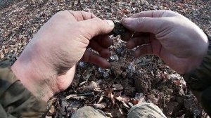 Nokta Makro Simplex plus  Поиск на урочище