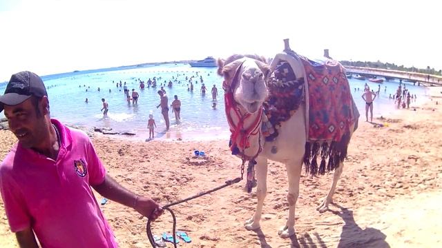 SunRise Royal Makadi смотреть онлайн