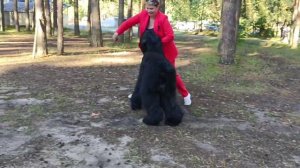 Норд Прайд Василевс Владимир