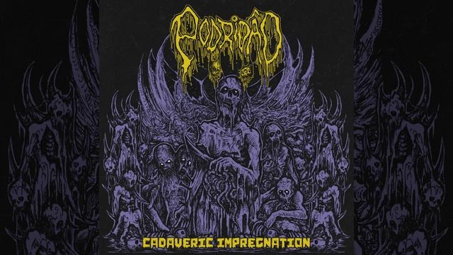 Verminoses Faecalis смотреть онлайн