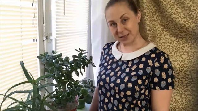 Лексическая тема: "Комнатные растения" смотреть онлайн