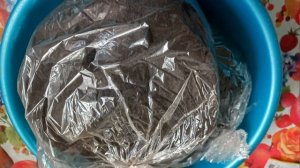 ТОМАТНЫЕ ГНОМЫ КОГДА ПОСЕЯТЬ ДЛЯ ОТКРЫТОГО ГРУНТА В СИБИРИ . ТОМАТЫ ИЗ СЕРИИ ТОМАТНЫХ ГНОМОВ