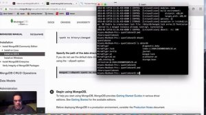 How set up NOSQL MongoDB server with GUI