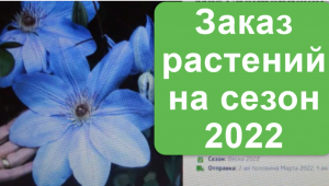 Заказ растений в питомнике "Пулков сад".