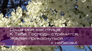 Христианское поклонение. Сборник №99