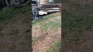 Замена сальника редуктора пресс Стар