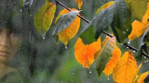 .Вспомним забытые песни.В белом платье с пояском