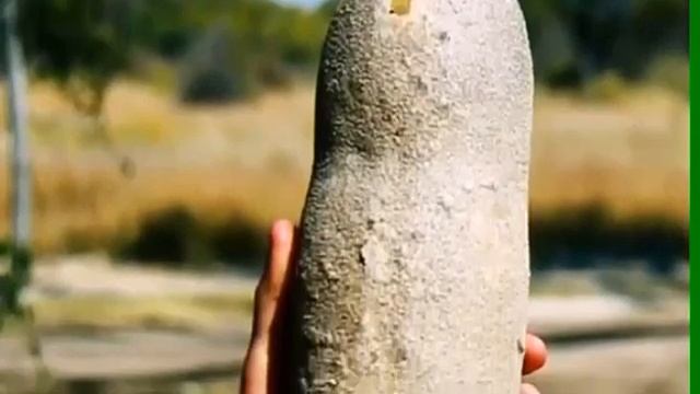 Колбасные и конфетные деревья смотреть онлайн