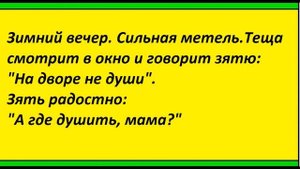 АНЕКДОТЫ ПРО ТЁЩУ ( ВЫПУСК № 3 )