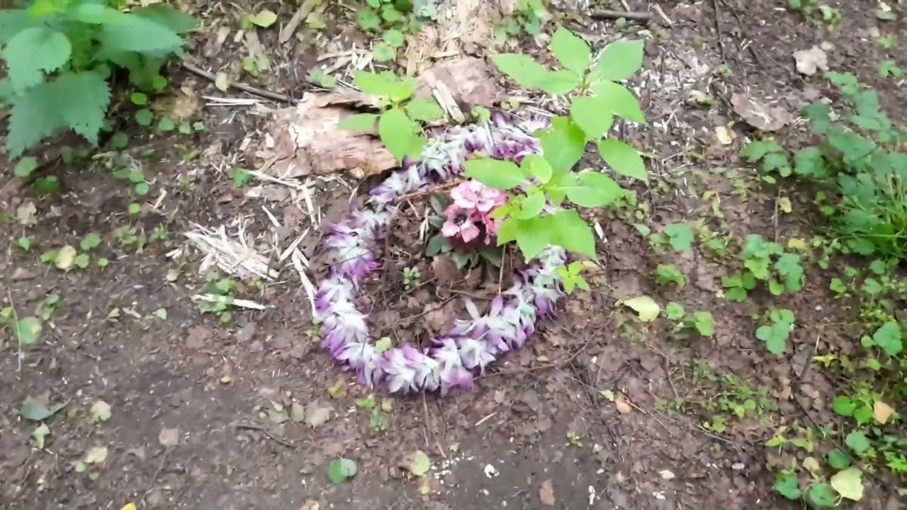 Наткнулась на ЖУТКОЕ кладбище в лесу ! Крайне подозрительно...