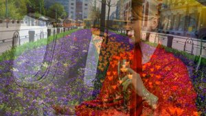 КЛИП Буду продолжать любить.....   I will continue to love THE CLIP