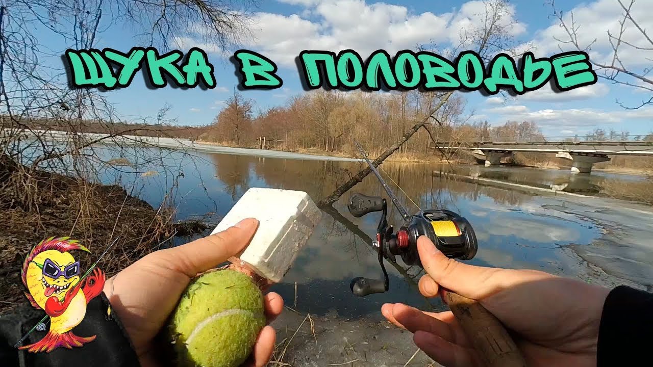 Как ловить рыбу в половодье. Как ловить рыбу в половодье