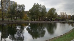 РАМЕНКИ. АНАЛИЗ И ОБЗОР РАЙОНА (НОЯБРЬ 2020).