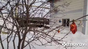 ?♀️Арку украсила гирляндой.