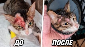 Новости про Маню