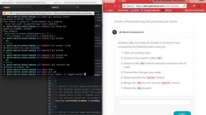 git branching exercise