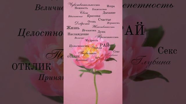 ТЫ ЕСМЬ...