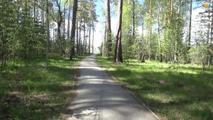 РЕФТИНСКИЙ 24 МАЯ .ул Молодежная,Лесная.Частный сектор. Идем гулять!