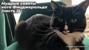 Мудрые советы кота Фицджеральда ? (часть 2)