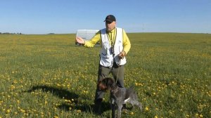 4. НАТАСКА ЛЕГАВЫХ / ГЛУБИНА ПОИСКА