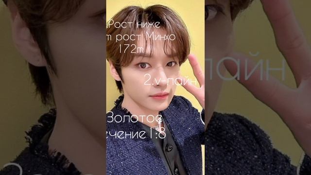 На сколько%Stray kids подходят под корейские стандарты красоты #straykids #shorts