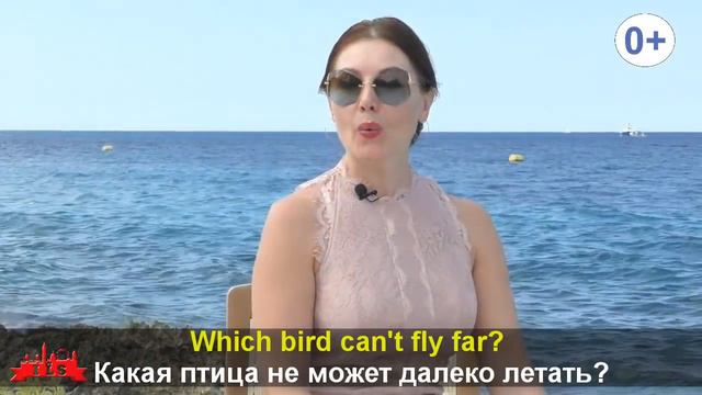 АНГЛИЙСКИЙ ДЛЯ ДЕТЕЙ изучающих язык с нуля. ПТИЦЫ НА АНГЛИЙСКОМ в Мексике