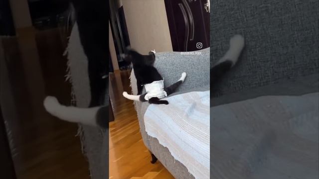 Памперс vs Горшок