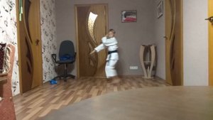 Ката Хейан Шодан обучающее видео (Heian Shodan)