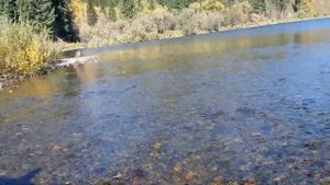 НИЖНЯЯ ТЕРСЬ СЕНТЯБРЬ 2022